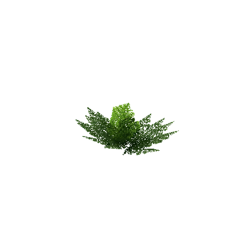 Fern_Leafy_V2_1