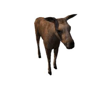 Moose_calf_LowPoly_IP