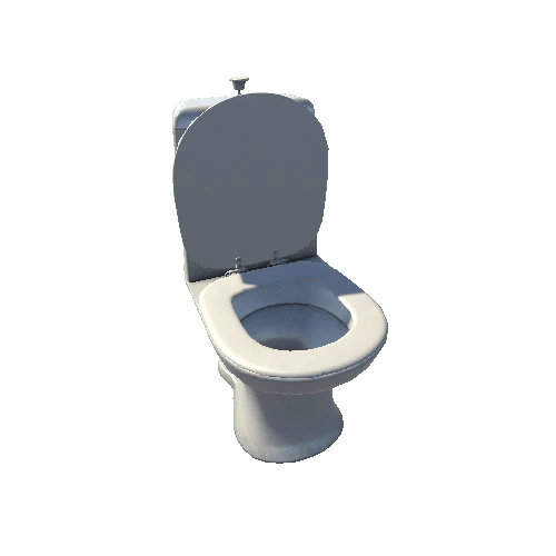 Dirty_Toilet