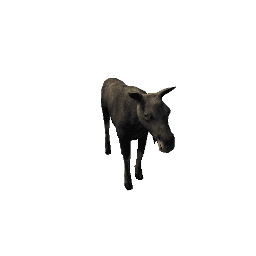 Moose_cow_LowPoly_IP