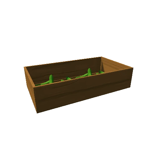 D_big_box_cucumber