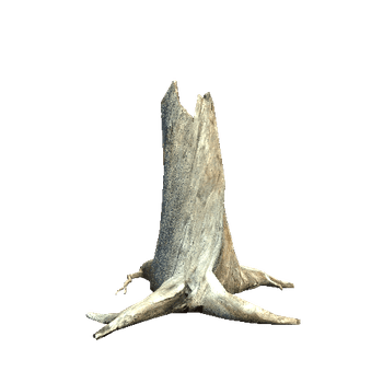 Desert_01_Stump_01_LODgrp