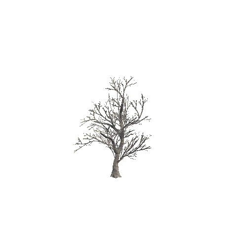 bush_01_a_DS