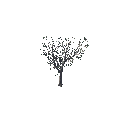 tree_01_b
