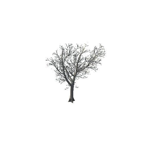 tree_01_d