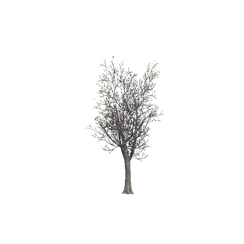 tree_01_d_DS