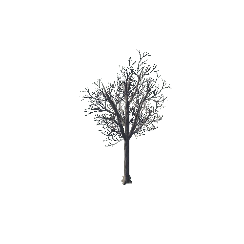 tree_02_b