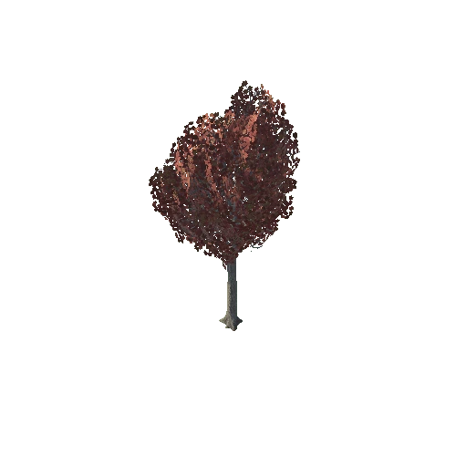 tree_02_e