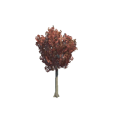 tree_02_e_DS