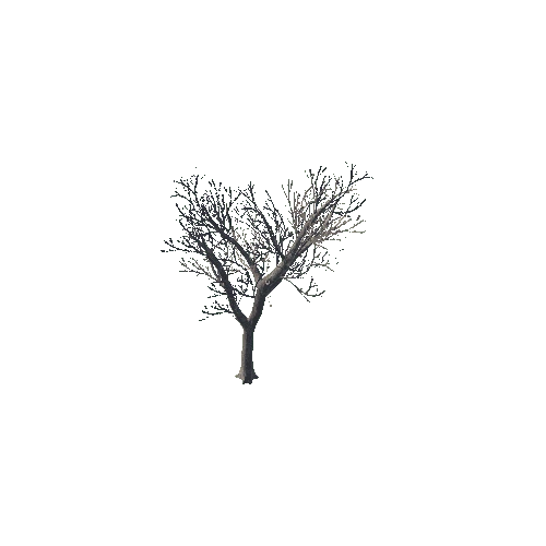 tree_03_b