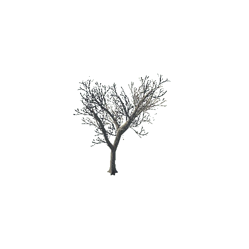 tree_03_d