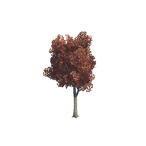 tree_03_d_DS