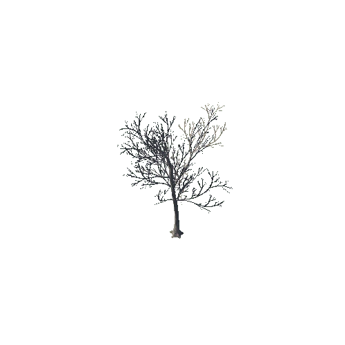 tree_04_b