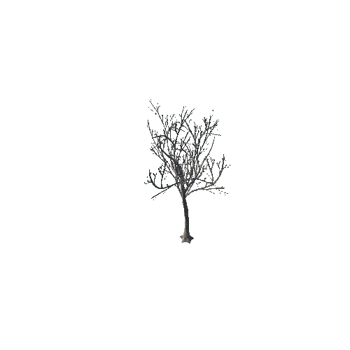 tree_05_b