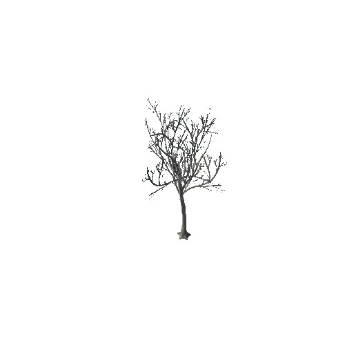 tree_05_d