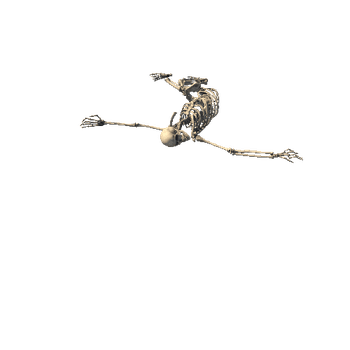 Skeleton_Pose_1