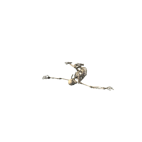 Skeleton_Pose_1