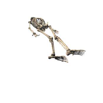 Skeleton_Pose_4