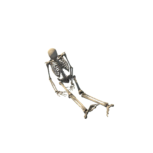 Skeleton_Pose_5