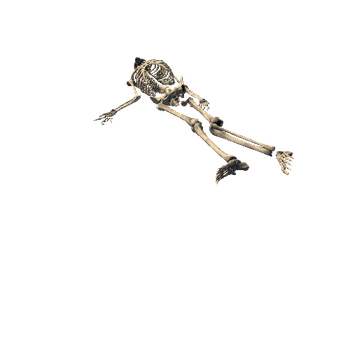 Skeleton_Pose_6