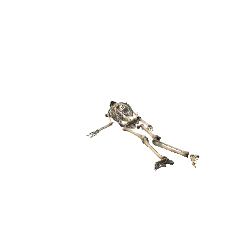 Skeleton_Pose_6