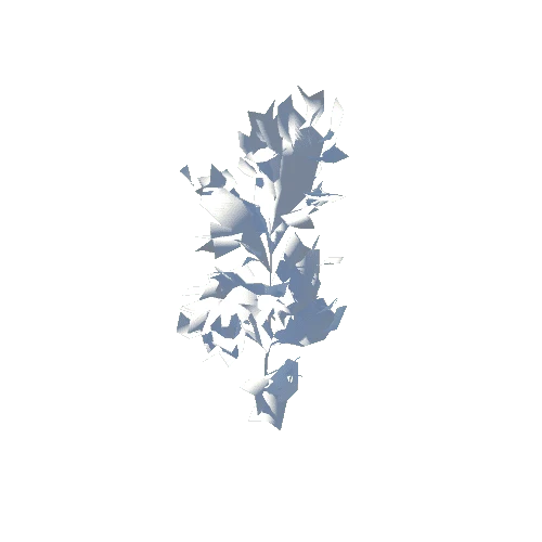 Birch_Paper_Sapling_2_Fall