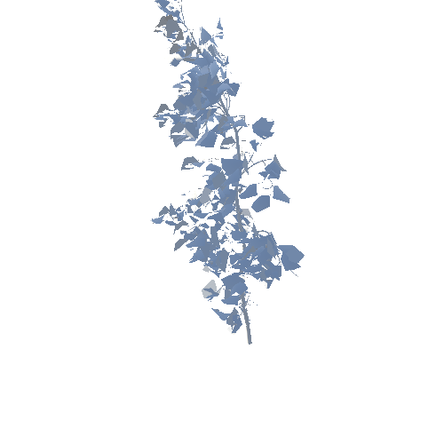 Pine_Eastern_White_Desktop_Forest_Spring