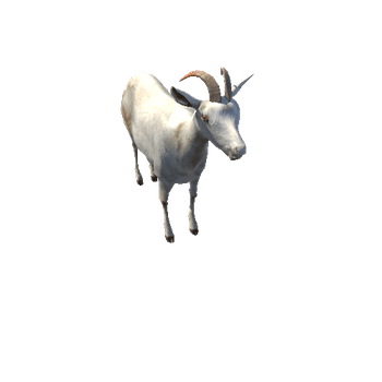 GoatLowPoly