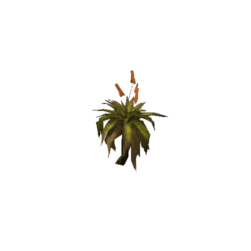 Aloe_Shrub_V1_1