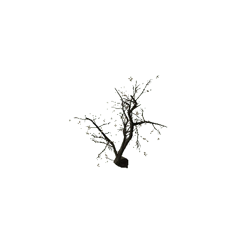 Dry_Barren_Tree_03_1