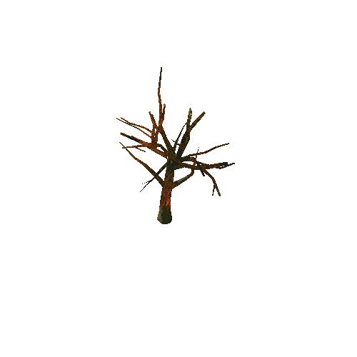 Beech_Tree_V3