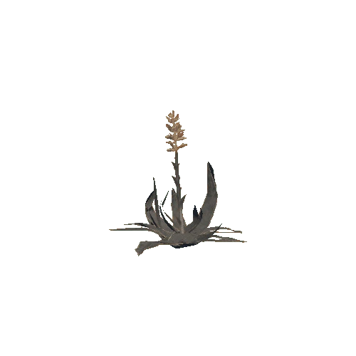 Aloe_Plant_V1