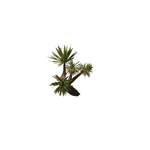 Aloe_Tree_Small_V5