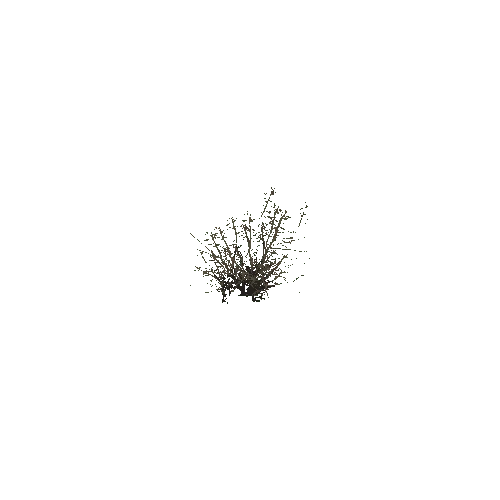 Dry_Shrub_02