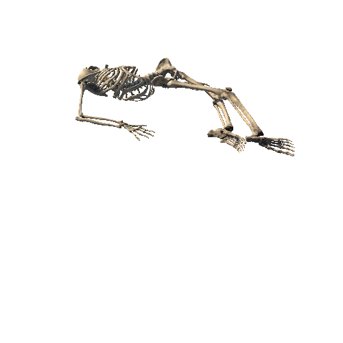 Skeleton_Pose_2