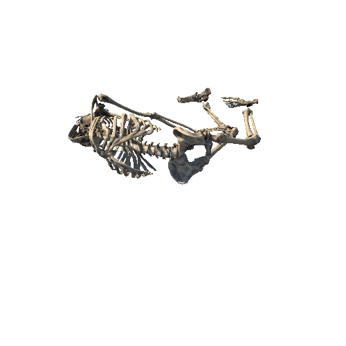 Skeleton_Pose_3
