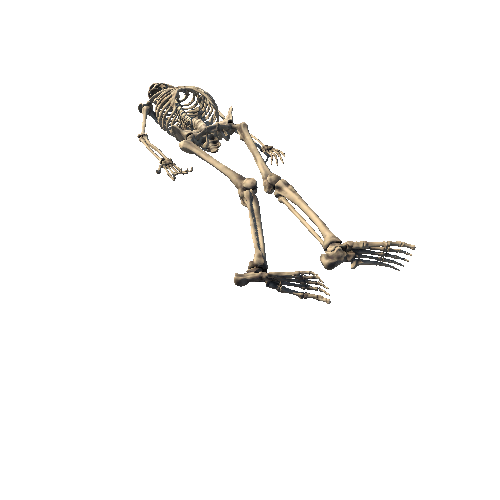 Skeleton_Pose_4