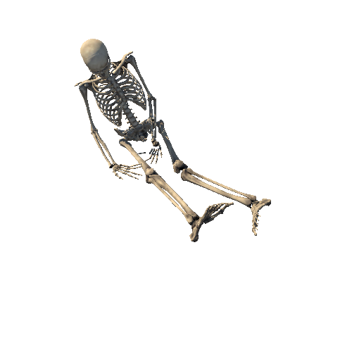 Skeleton_Pose_5