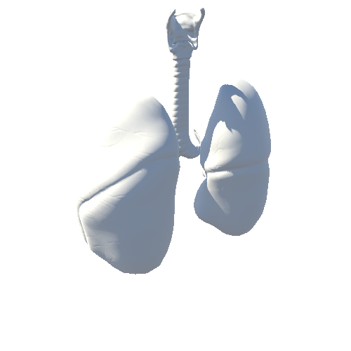 Lungs_4K