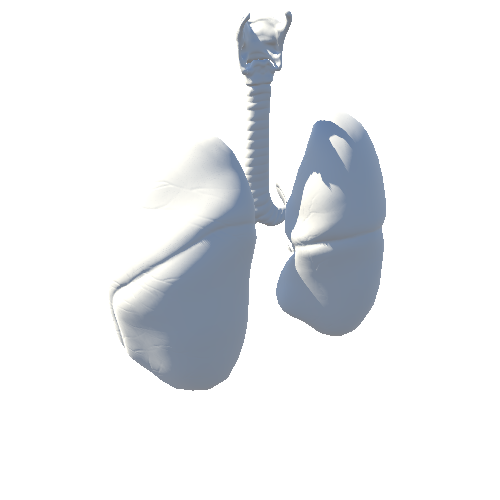 Lungs_8K