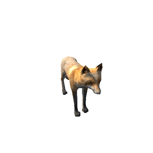 Fox_male_LowPoly_RM