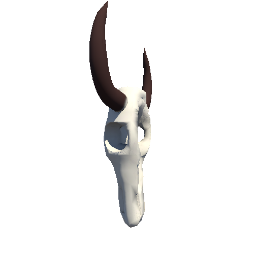 Skull1