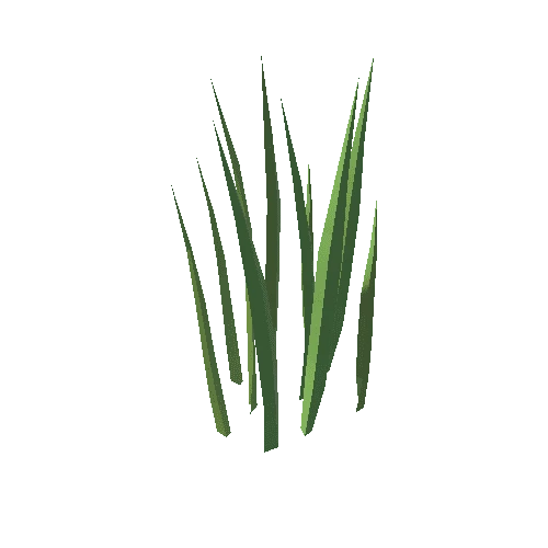 Grass