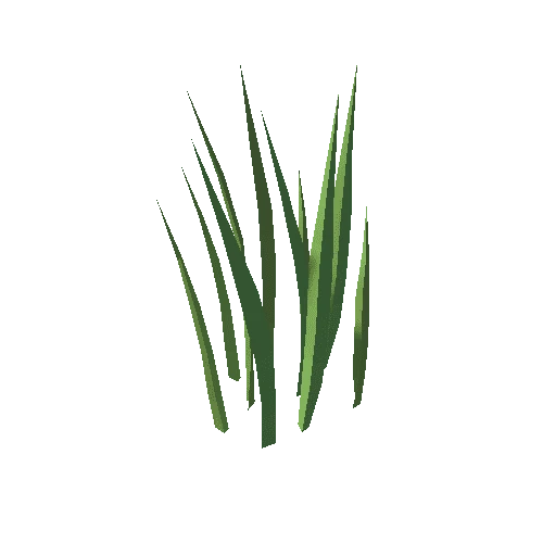 Grass