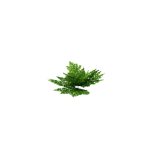 Fern_Leafy_V1