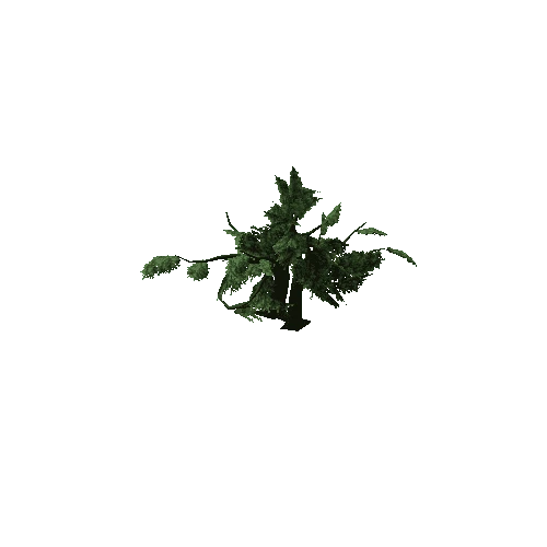 Oak_Tree_V4_1