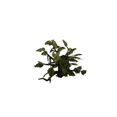 Oak_Tree_V5