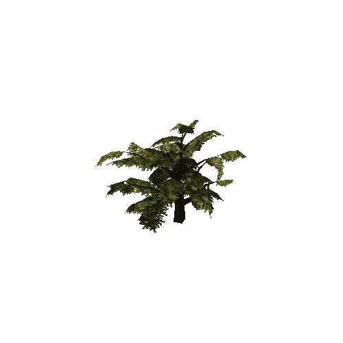 Oak_Tree_V6_1