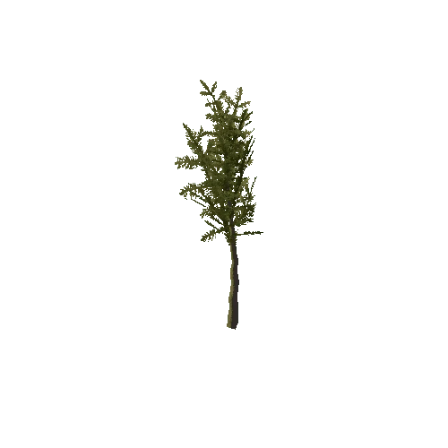 Pine_Sapling_Green_Small_1