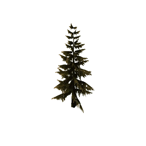 Pine_Tree_Brown_Tall_1